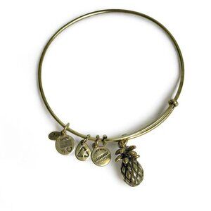 Alex and Ani PINEAPPLE Charm Bangle Bracelet Adjustable
